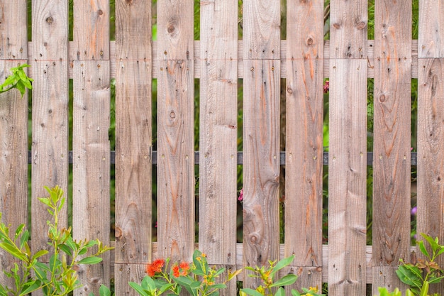 Fondo de patrón de textura de valla de madera con hierba verde