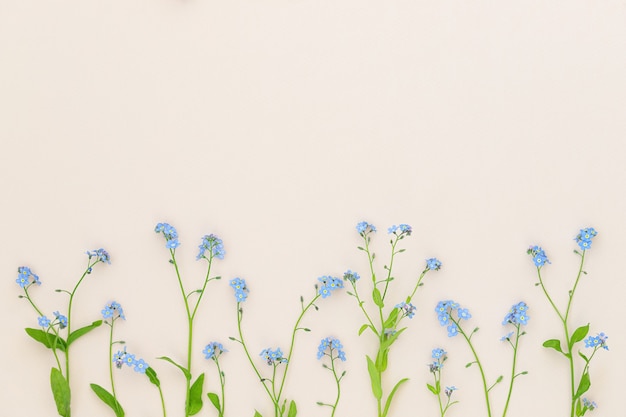 fondo con pequeñas flores azules