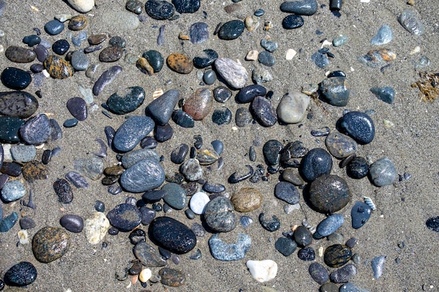 Fondo de pequeñas piedras junto a la playa con concha