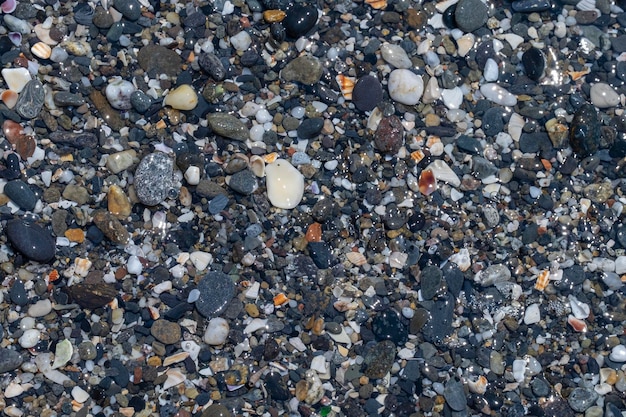 Fondo de pequeñas piedras junto a la playa con concha