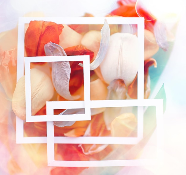 fondo de pétalos teñidos vintage fondo abstracto de primavera, pétalos de flores de verano en el marco