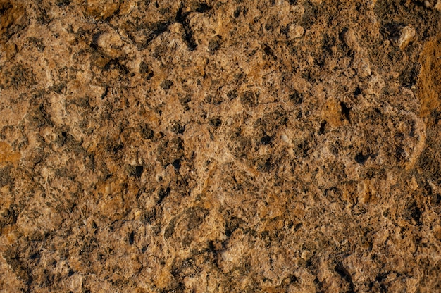 Foto fondo de piedra caliza