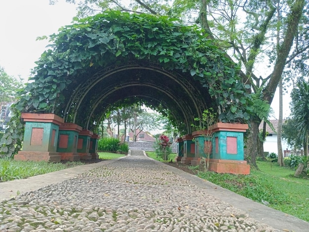 fondo de piedra de la pasarela en la vista inferior del parque