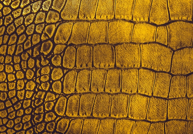 Fondo de piel de serpiente Cerrar textura de reptil