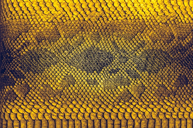 Fondo de piel de serpiente Cerrar textura de reptil