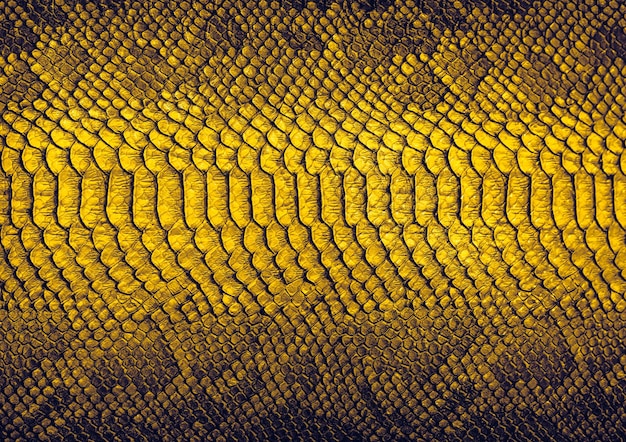 Fondo de piel de serpiente Cerrar textura de reptil