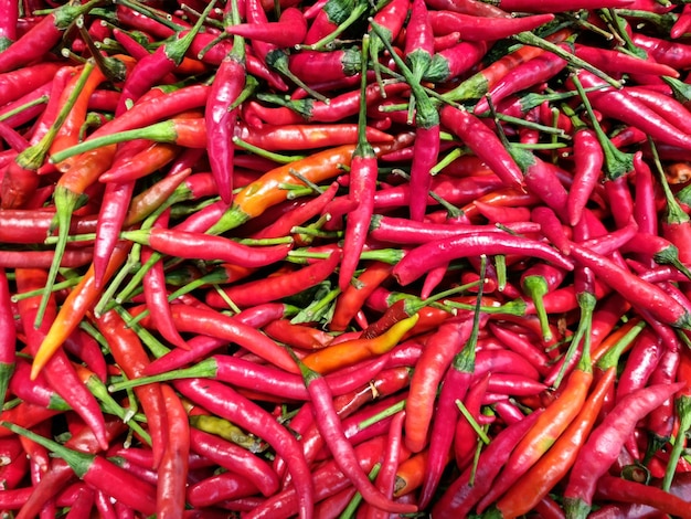 Foto fondo de pila de chiles candentes frescos