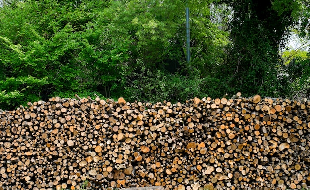 Fondo de pila de madera