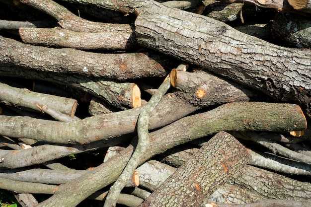 Fondo de pila de madera