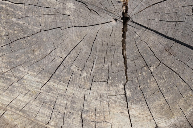 Fondo de piso de madera viejo agrietado