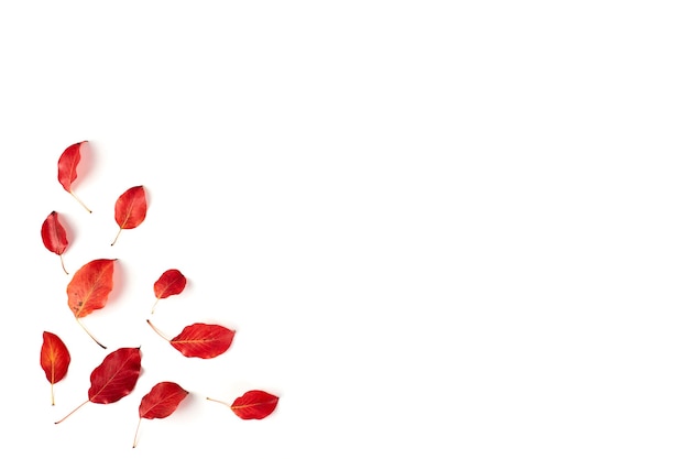 Fondo plano de otoño laicos en blanco. Composición con hojas rojas realistas. Hola concepto de octubre. Copia espacio