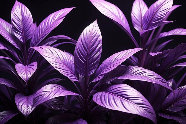 Fondo de plantas tropicales estado de ánimo violeta