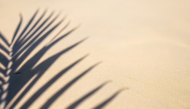 Foto fondo de playa de arena blanca abstracto luces de sol en la superficie del agua hermoso fondo abstracto