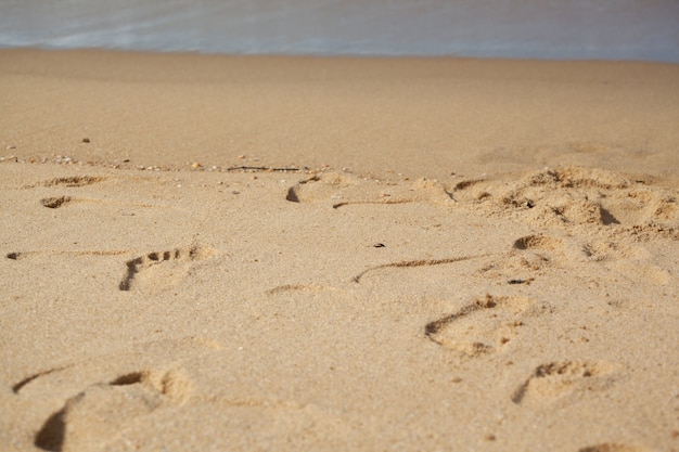 Fondo de playa de arena húmeda con textura