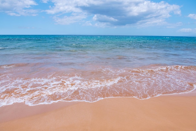 Fondo de playa de mar en calma Playa tropical de verano con arena Agua del océano Paisaje marino natural