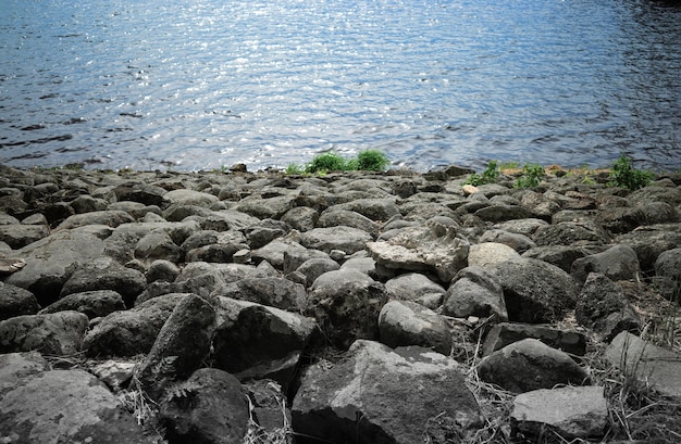 Foto fondo de playa rocosa de río blanco y negro
