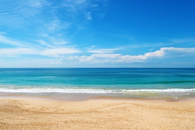 Fondo de la playa de verano