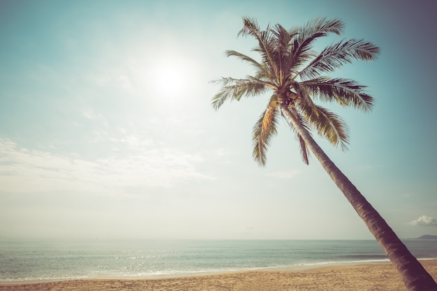 Fondo de playa vintage