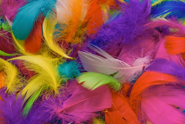 Fondo de plumas de colores, vista superior.