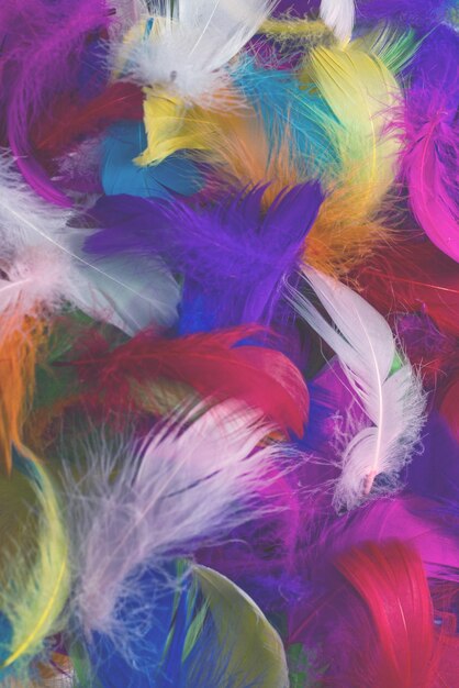 Fondo de plumas coloridas
