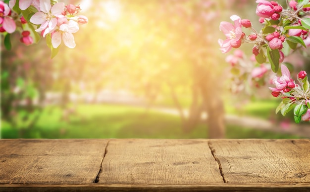 Fondo de primavera con borde de ramas de manzana rosa floreciente y mesa rústica de madera vacía.