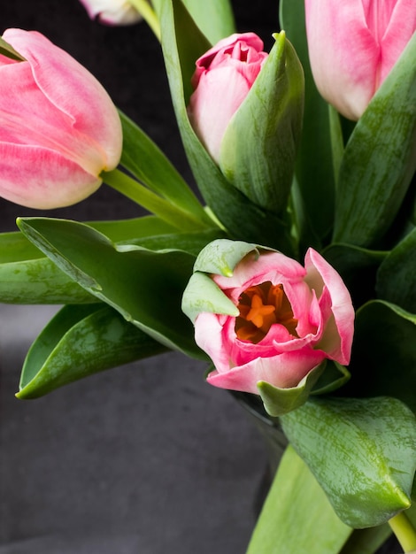 Fondo de primavera con concepto de felicitación de tulipanes rosas