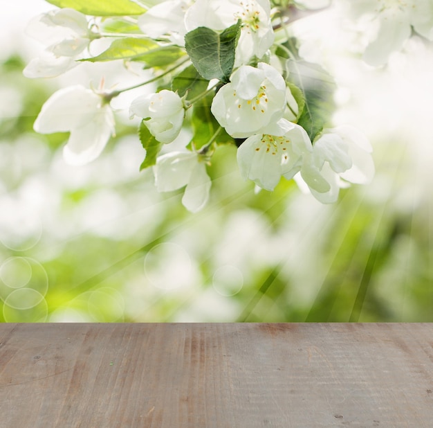 Fondo de primavera en flor con flores Hojas verdes Bokeh Luz y mesa de madera vacía gris