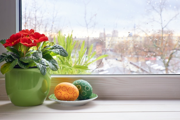 Fondo de primavera con flores rojas de primavera en maceta y huevos de Pascua en la ventana con gotas de lluvia