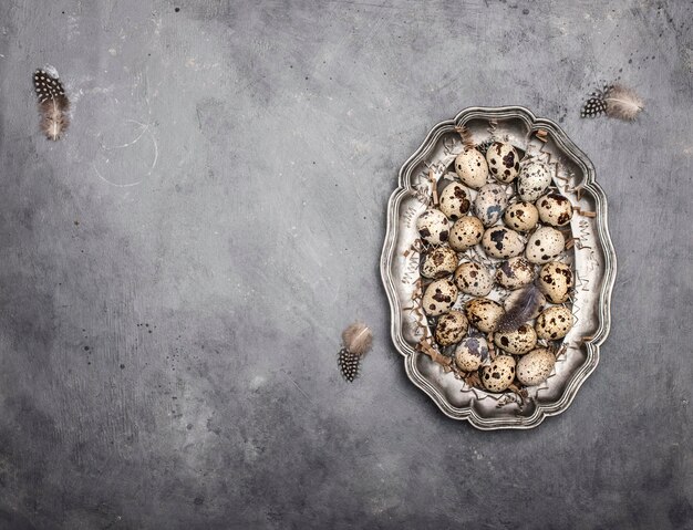 Fondo de primavera texturizado con pequeños huevos de codorniz en un plato de metal sobre fondo gris Productos ecológicos Espacio de copia libre Semana Santa