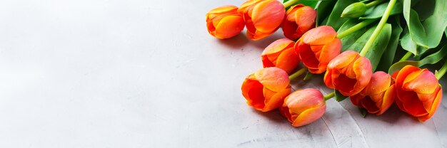 Fondo de primavera con tulipanes de colores naranjas. mujer, día de la madre, tarjeta de felicitación, imagen de espacio de copia