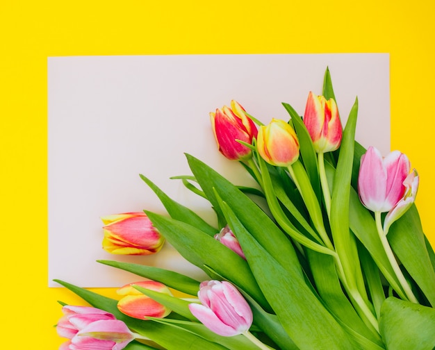 Fondo de la primavera: tulipanes rosados en la tarjeta beige enmarcada con el fondo amarillo. Horizontal Copia espacio