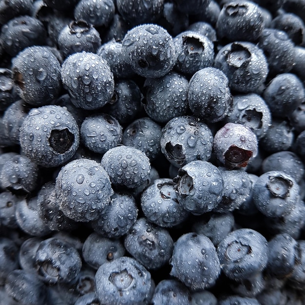 Fondo de primer plano de arándanos