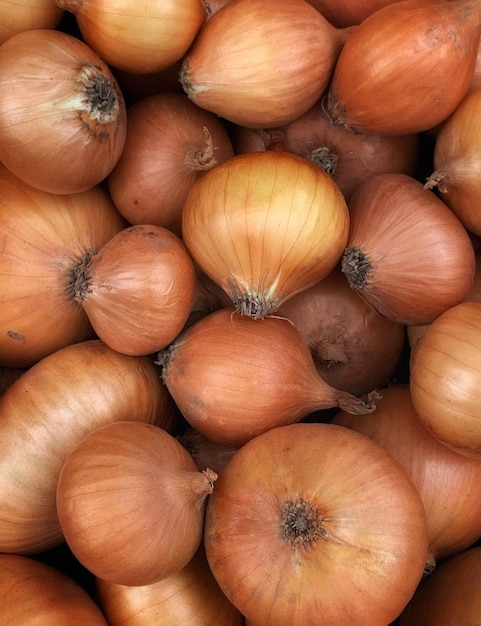 fondo de primer plano de cebolla roja