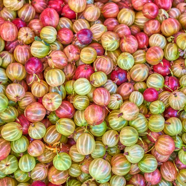 Fondo de primer plano de frutas de grosella