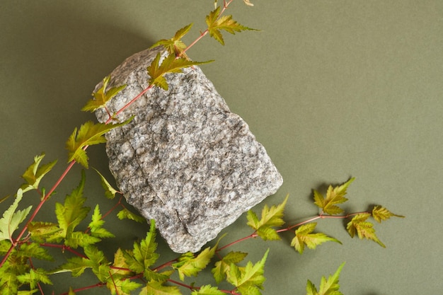 Fondo para productos cosméticos Podio de piedra con hojas verdes Vista frontal