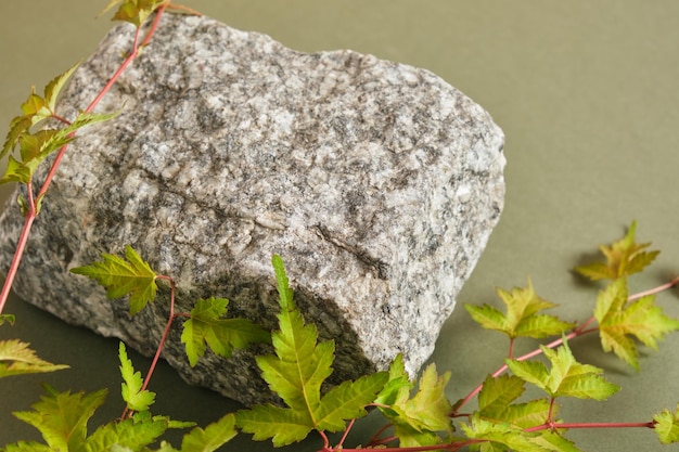 Fondo para productos cosméticos Podio de piedra con hojas verdes Vista frontal