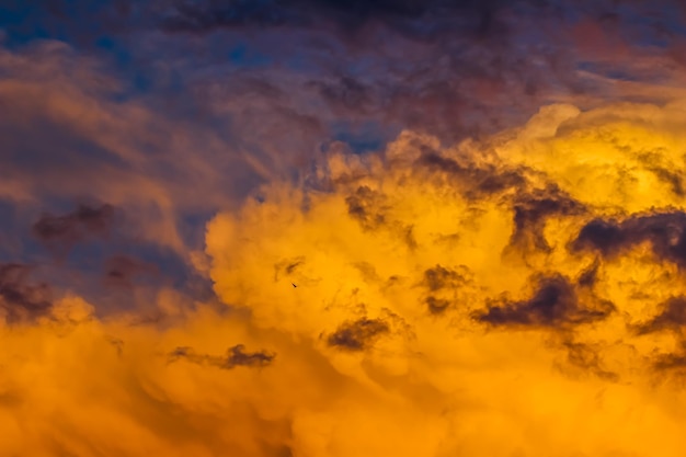 Fondo de una puesta de sol de colores brillantes con nubes y un pájaro volador Foto de alta calidad