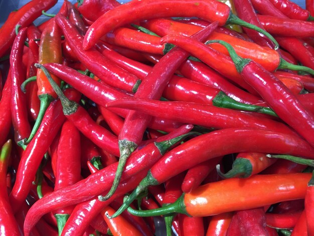 Fondo Red Hot Chilies