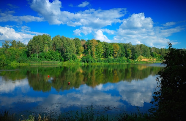 Fondo de reflexiones de río de bosque de verano