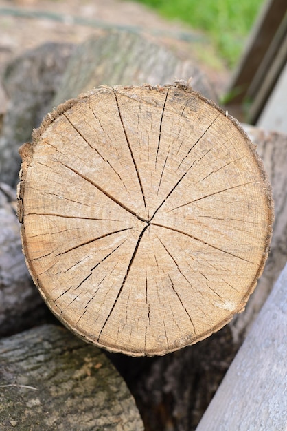 Fondo de registro agrietado de sección agrietada de madera seca vieja