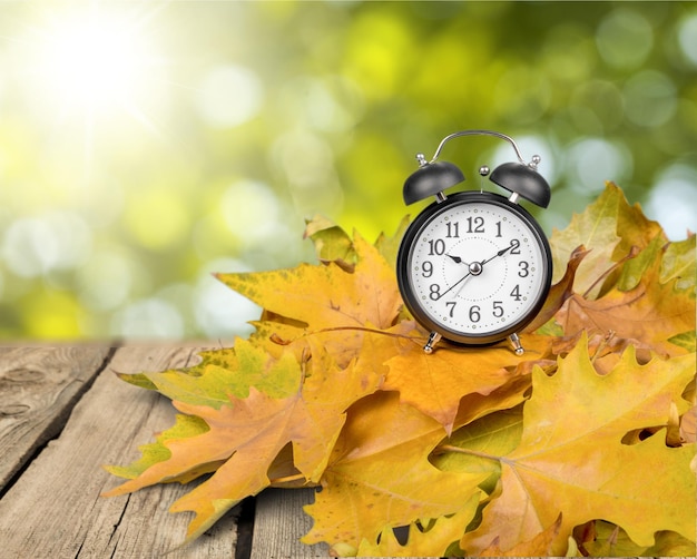 Fondo de reloj despertador vintage con hojas doradas de otoño