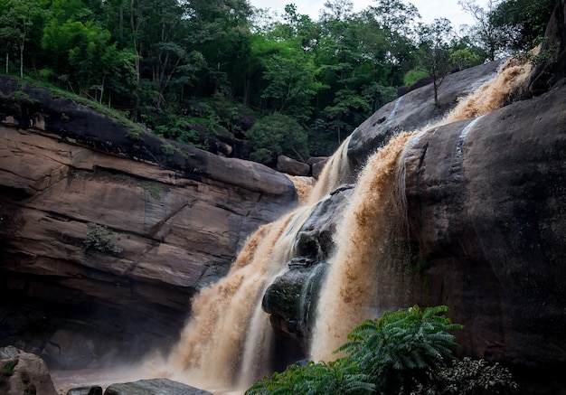 Fondo de río de montaña con hermosas cascadas grandes en bosque tropical.