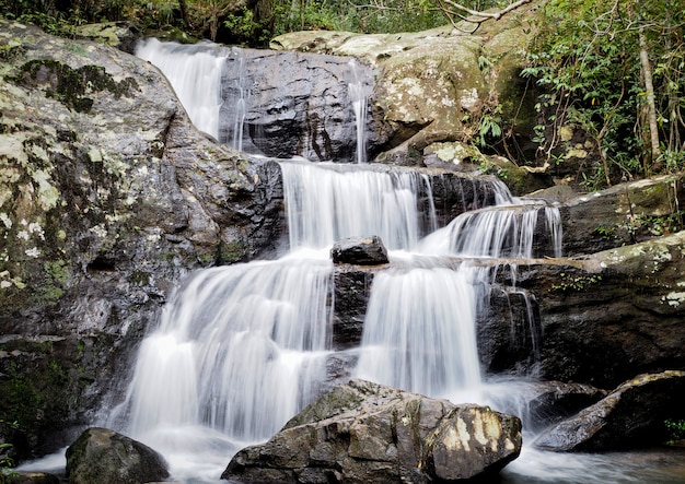 Fondo de río de montaña con pequeñas cascadas en el bosque tropical.