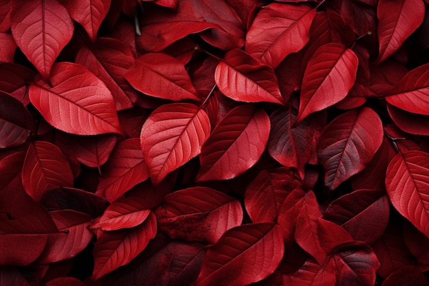 El fondo rojo adornado con la belleza de las hojas de otoño