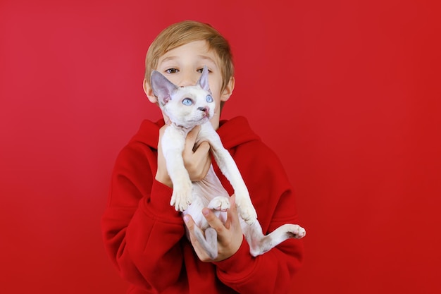 En un fondo rojo, el niño sostiene frente a él un pequeño gatito blanco que mira a su alrededor.