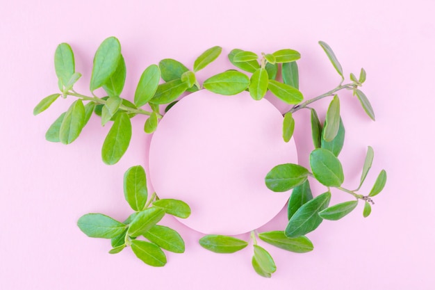 Fondo rosa pastel con plantas.