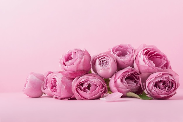 Fondo rosa con rosas y hojas