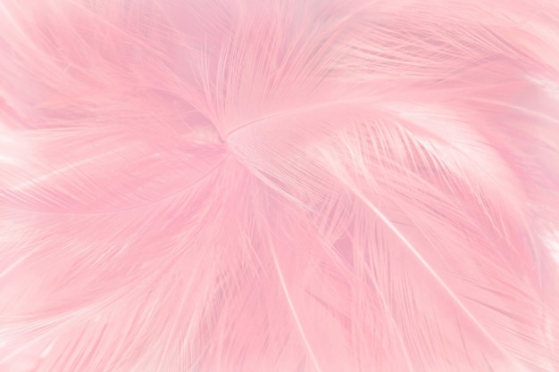 Fondo rosado suave de la textura de las plumas.