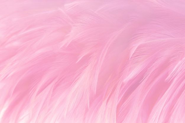 Fondo rosado suave de la textura de las plumas.