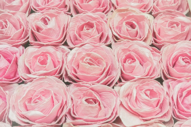 Fondo de rosas rosadas